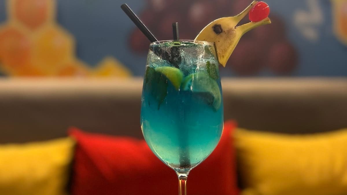 СЕВЕРНО СИЯНИЕ