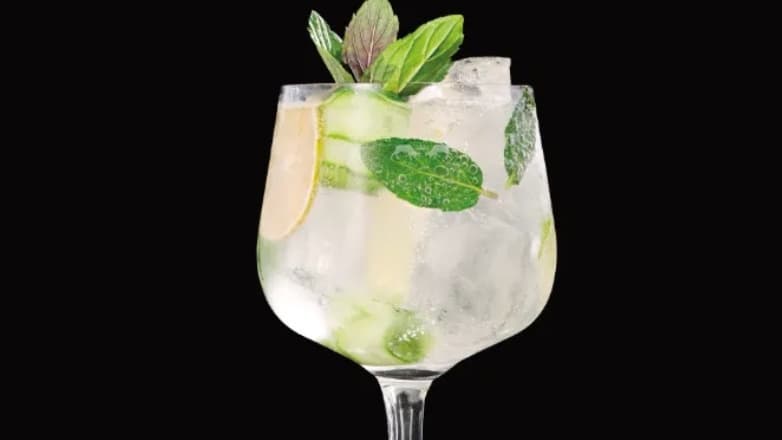 BOTANICAL SPRITZ FINLANDIA